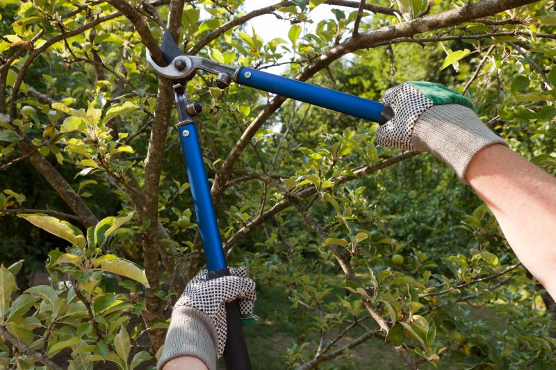 Pruning in Action
