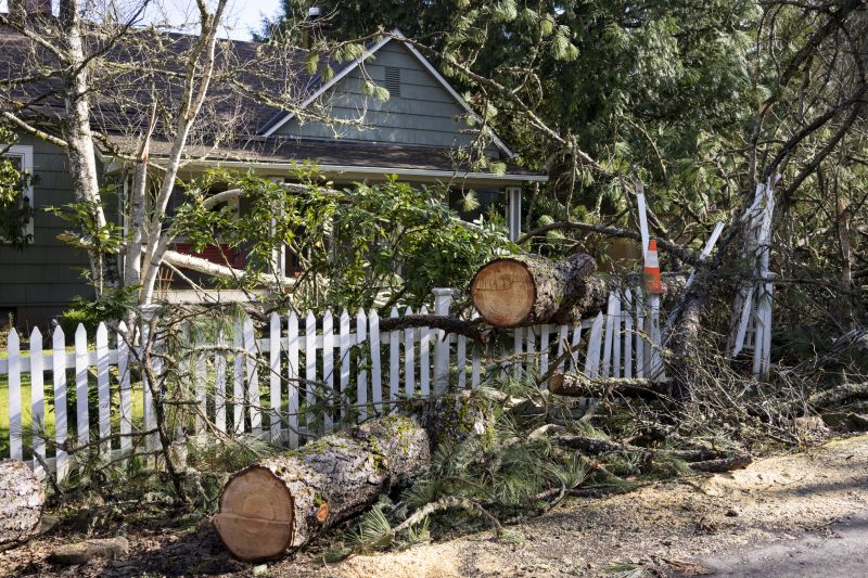 Dead Tree Removal in Aiken, SC