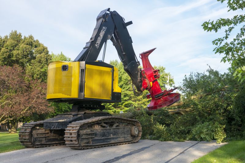 Tree Removal Machinery