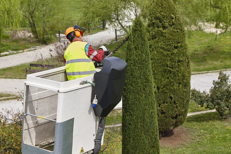 Professional pruning equipment